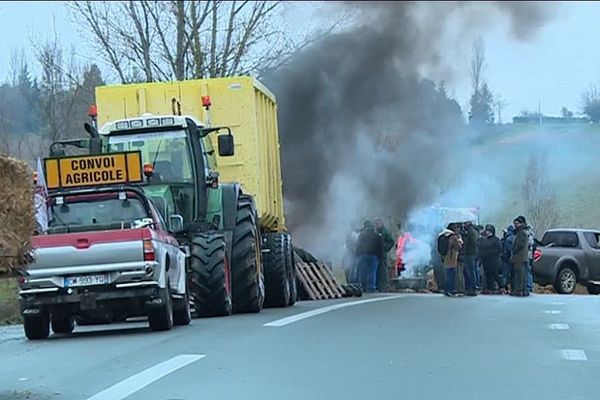 Une cinquantaine d'agriculteurs se sont installés avec leurs tracteurs sur la chaussée, à hauteur de Montastruc-la-Conseillère. 