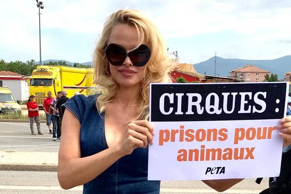 Pamela Anderson au Luc-en-Provence, le 3 juin 2017.