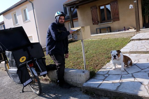 Attention aux préjugés : un chien qui remue la queue n'est pas forcément un chien content...