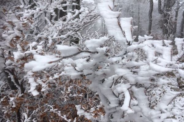 Vigilance jaune grand froid activée en Lozère pour deux jours.