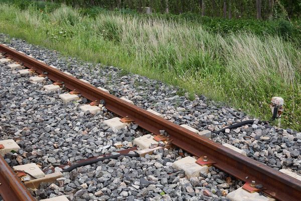 Le train de marchandises a mortellement percuté l'automobiliste âgée de 49 ans dimanche soir. 
