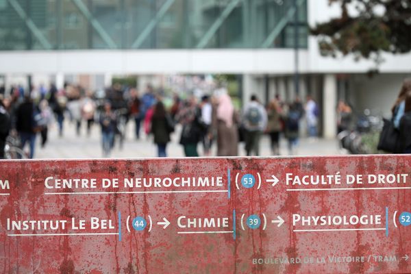 L'université de Strasbourg teste l'évaluation continue intégrale