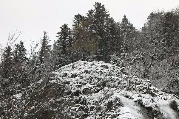 La couche de poudreuse tient au sol à partir de 1.000 mètres sur le massif des Vosges.