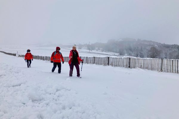 L'épaisseur de la couche neigeuse va de 5 à 10 centimètres à partir de 1000 mètres comme ici au Markstein (Haut-Rhin).