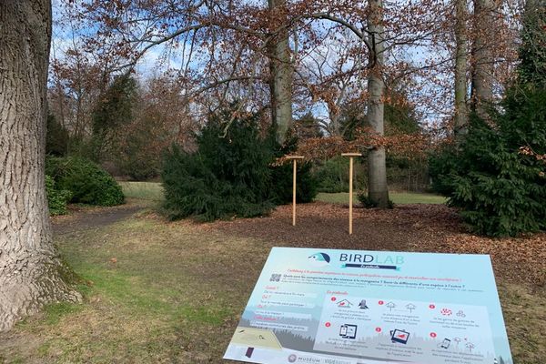 Mangeoires Birdlab à Strasbourg