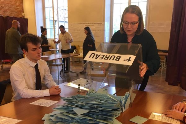 Résulats des élections européennes : les écologistes arrivent en deuxième position à Toulouse 