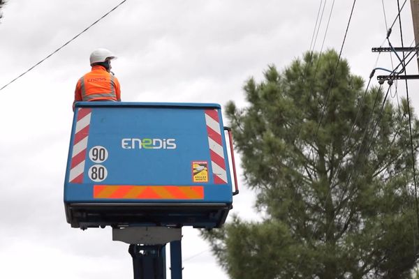 Des agents de l'opérateur Enedis interviennent sur un poteau électrique à La Baule (Loire-Atlantique), le 24 novembre 2024.