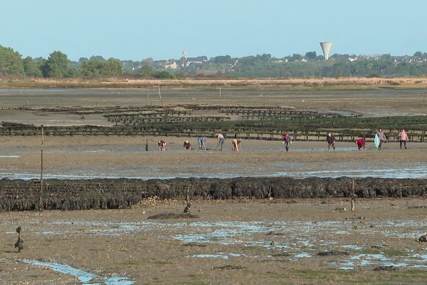 La pointe de Sissable attire de nombreux pêcheurs à pied lors des grandes marées