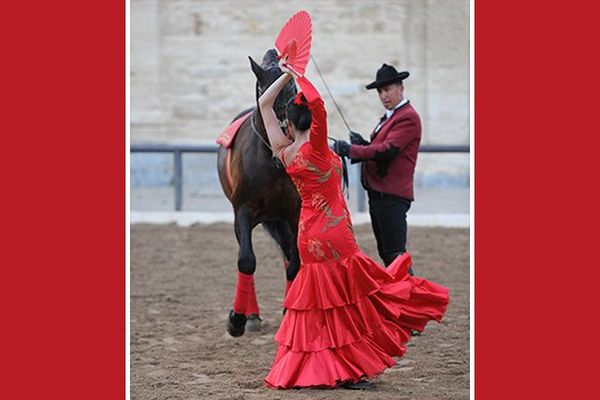 l'Académie Equestre de Cordoue