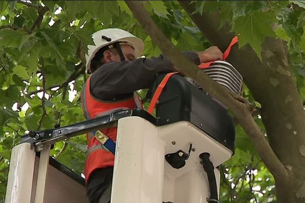 Ce capteur doit permettre de vérifier le degré d'humidité ambiant en cas de forte chaleur.