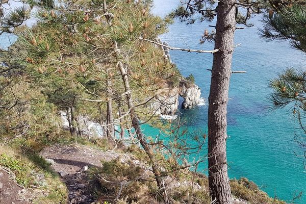 Plage de l'île Vierge