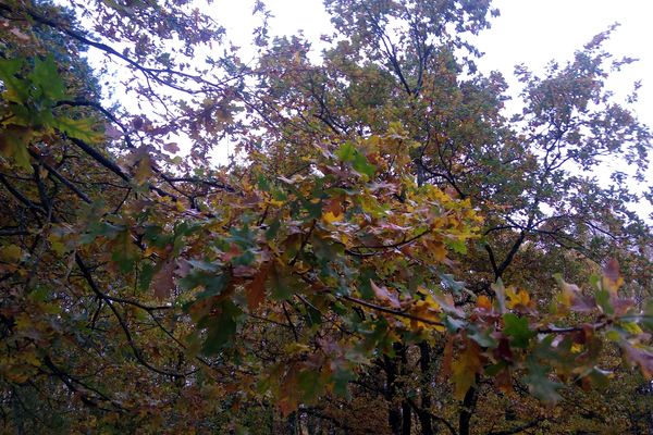 Le soleil devrait pouvoir percer pour mettre en avant les lumières d'automne.