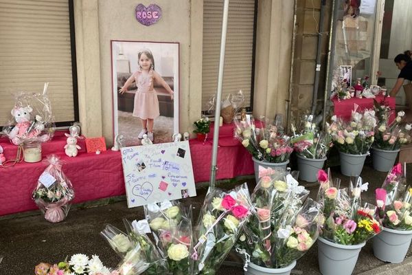 Marche rose à Rambervillers en mémoire de Rose-Izabela