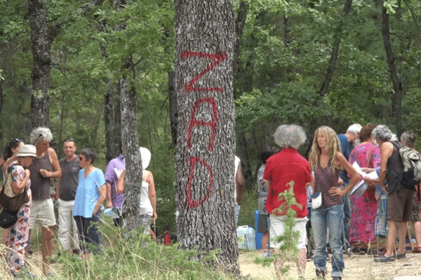 Sylvie et Claudine font partie du collectif Elzear, Lure en résistance qui tente depuis 2022  de déjouer le projet de centrale photovoltaïque menaçant sur 17 hectares de forêt.