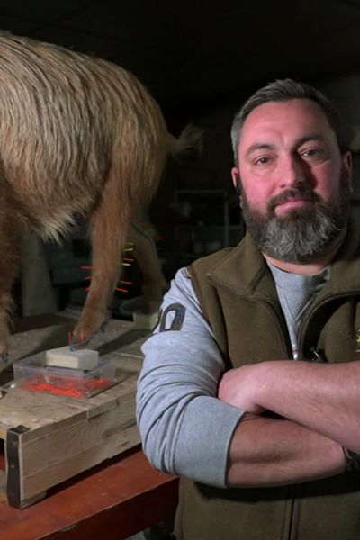 Dans l'atelier de Christophe Barbarin, taxidermiste