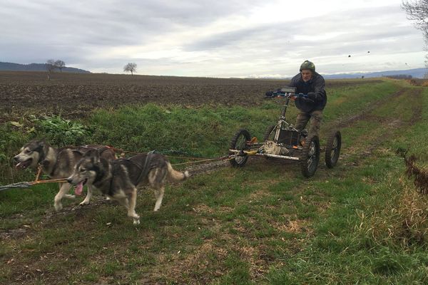 Pierre Chappe, multiple champion d'Europe sur terre et champion du monde sur neige de chiens de traîneau.