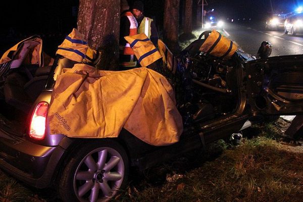 La route de l'Océan est bordée d'arbres, dans la commune de Saint-Laurent-de-la-Prée en Charente-Maritime