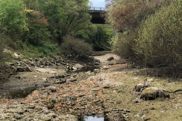 La rivière la Tille, en Côte-d’Or, est à sec depuis plusieurs semaines en raison de la sécheresse.