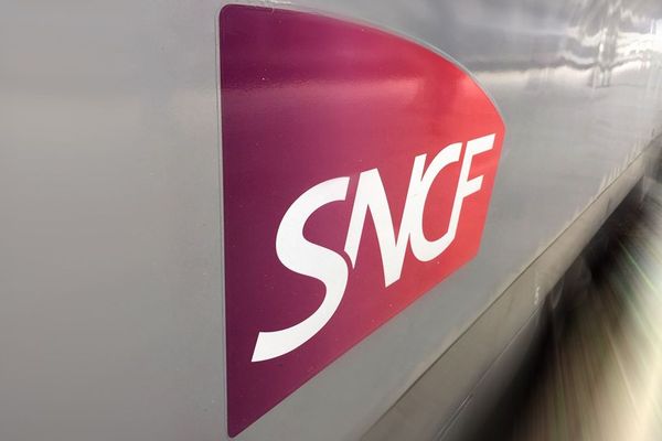 En raison d'un mouvement social, le trafic des trains est interrompu lundi 4 novembre entre Le Puy-en-Velay et Saint-Etienne.