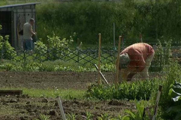 Le paradis des jardiniers