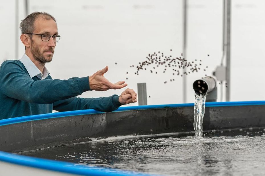 Le Potager des Poissons, a farm like no other, in aquaponics