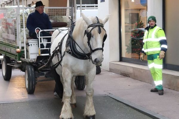 La collecte hippomobile à Bourg-en-Bresse. 