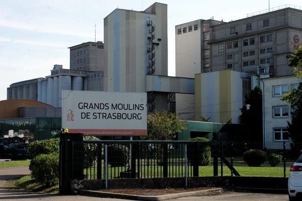 Le site des Grands Moulins de Strasbourg au port du Rhin à Strasbourg