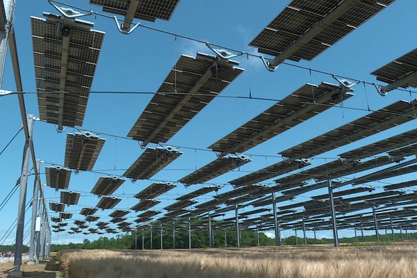 Les panneaux solaires ont été installés il y a deux ans sur cette exploitation à Amance (Haute-Saône).