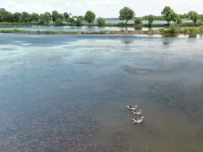 Le Pays des étangs en Moselle regorge d'étendues d'eaux