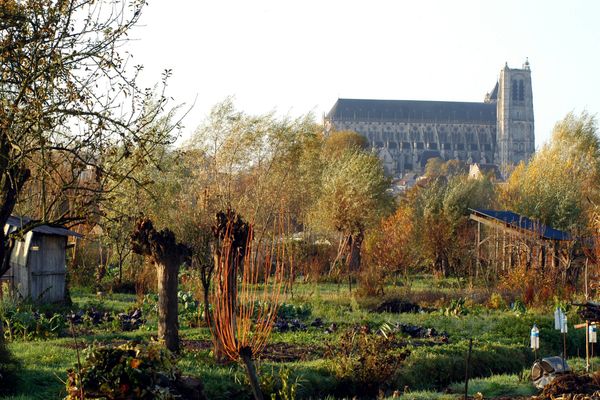 Vue sur la cathédrale de Bourges depuis les marais.