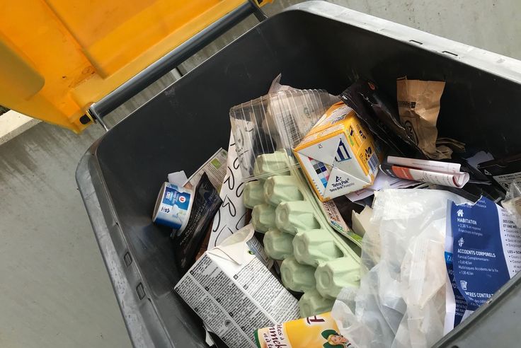 Coronavirus A Besancon Poubelles Dechets Voici Comment Vont S Organiser Les Collectes Durant Le Confinement