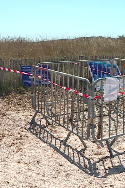 Le site de ponte est désormais sous haute surveillance du fait qu'il se trouve sur une plage particulièrement fréquentée à cette période de l'année. e.