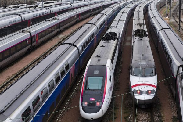 En moyenne, un TGV sur 5 et un TER sur 10 circuleront ce week end dans la région Auvergne-Rhône-Alpes.