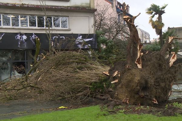 La tempête Myriam a frappé les Pyrénées Atlantiques (ici à Pau) avant de toucher les Hautes-Pyrénées