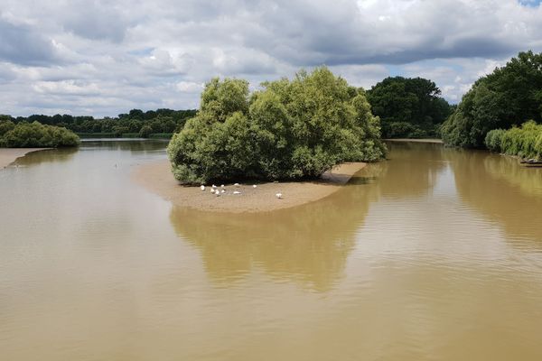 Delta de la Sauer - anciens bras morts du Rhin