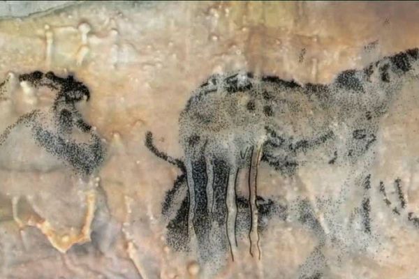 La grotte de Villars, l'un des joyaux préhistorique et géologique naturel de Dordogne