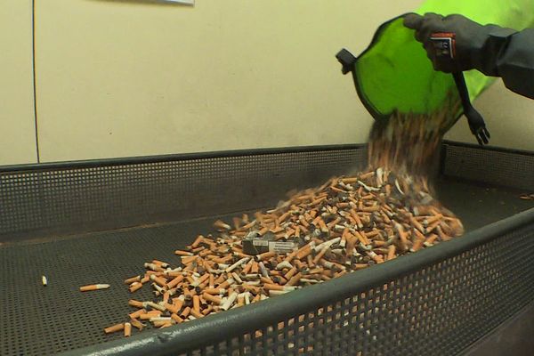 Tchaomégot recycle pour l'instant dix tonnes de mégots par an, l'objectif est de passer à 300 tonnes en quelques mois.