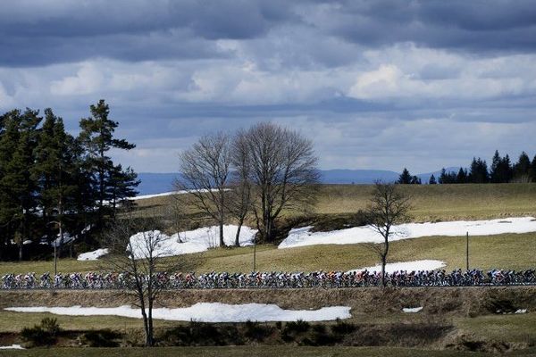 Le peloton du 71ème Paris-Nice au cours de la quatrième étape entre Brioude et Saint- Vallier, le 7 Mars 2013.