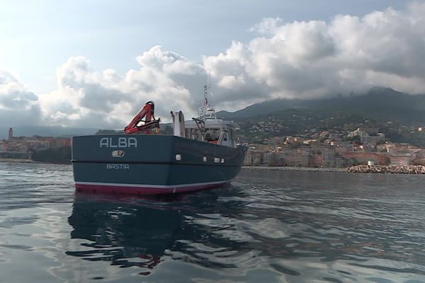 Le nouveau bateau-école du lycée maritime de Bastia, Alba, est arrivé dans son port d'attache, mercredi 6 novembre.