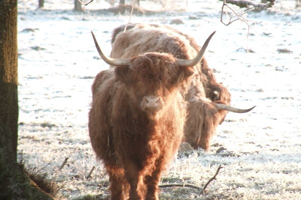 froid ? moi ? jamais ! / Cold? I? Never!