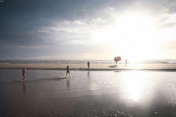 La plage de Berck. 