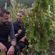 Sébastien Fricker et sa compagne Claire De Meyer dans le vignoble du domaine des Déserts, en plein Pays d'Auge