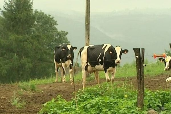 Pour les syndicats agricoles, le classement d'une commune en zone vulnérable nitrate pourrait avoir de graves conséquences financières et professionnelles pour les agriculteurs.