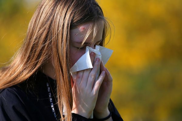 Près de 25% de la population française souffre d'allergie respiratoire. 