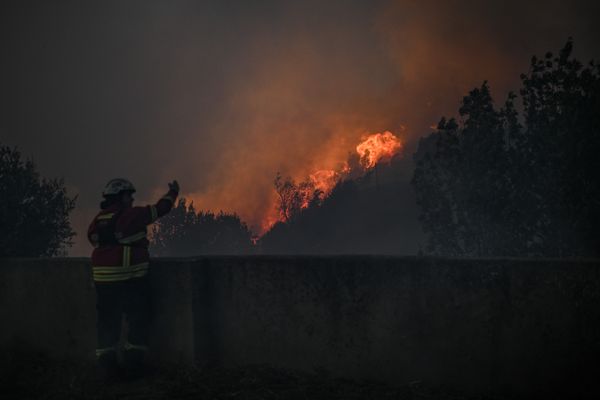 Vigilance rouge feux de forêt ce dimanche 30 juillet dans l'Hérault, en prévention, la ville de Montpellier interdit l'accès à plusieurs sites. Image d'illustration.