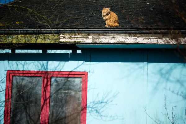 Un logement insalubre dans le Pas-de-Calais.