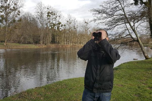 On entend quelques chants d'oiseaux, mais ils sont si rares que même avec les jumelles ils sont difficiles à trouver