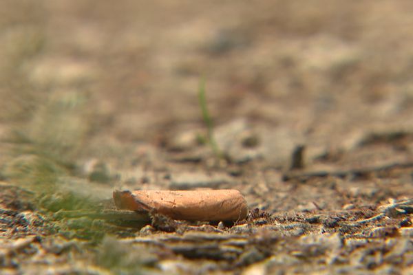 Un mégot de cigarette a besoin de un à dix  ans pour se dégrader dans la nature