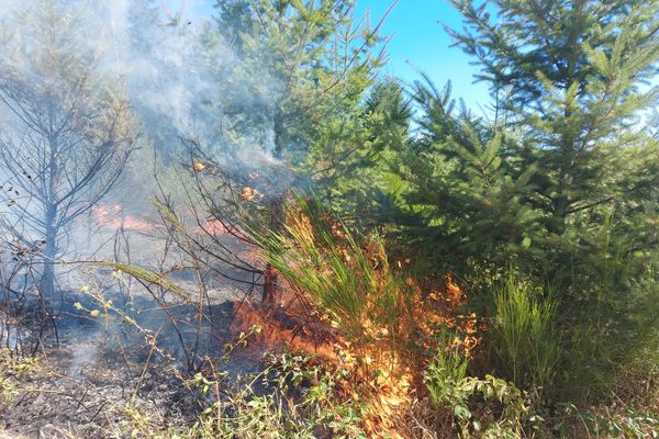 Le feu a démarré vers 10h30 et n'est toujours pas maîtrisé.