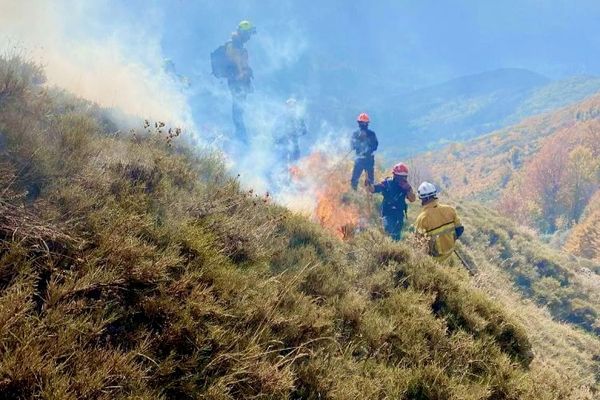 Entre le samedi 23 et le dimanche 24 octobre, un incendie s'est déclaré sur la commune de Palneca. Les flammes ont détruit 20 hectares de végétation.